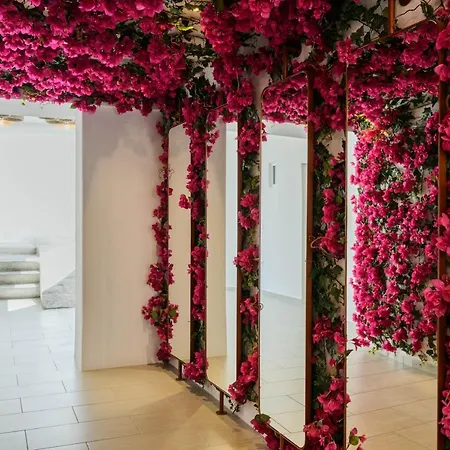 Artemoula's Appart hôtel Platis Yialos