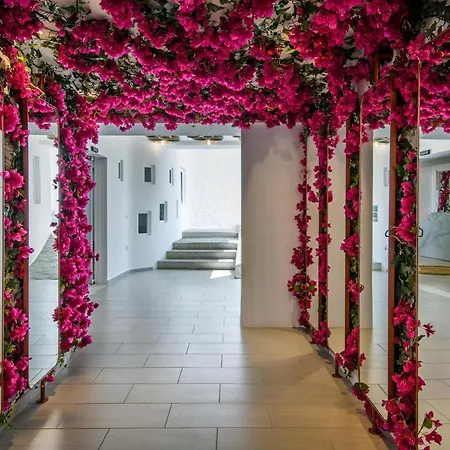 Artemoula's Appart hôtel 4*